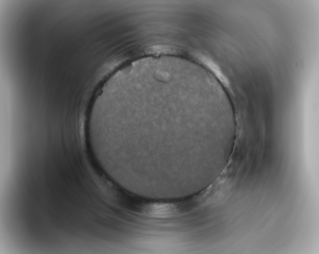 X0000094790154200711301613