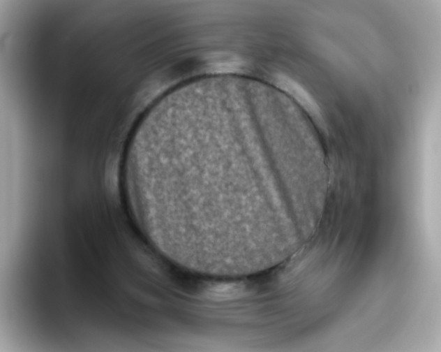 X0000094790155200711301613