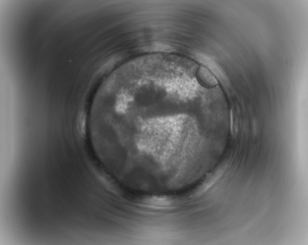 X0000094790157200711301613