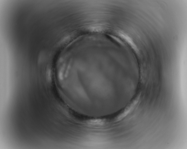 X0000094790161200711301613