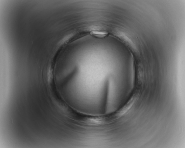 X0000094790164200711301613