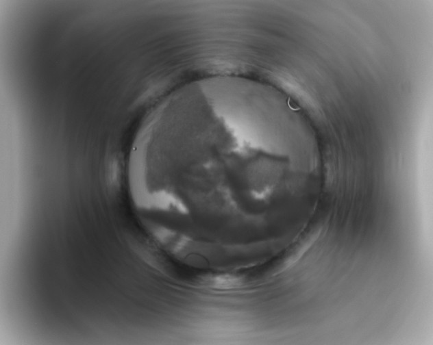 X0000094790165200711301613