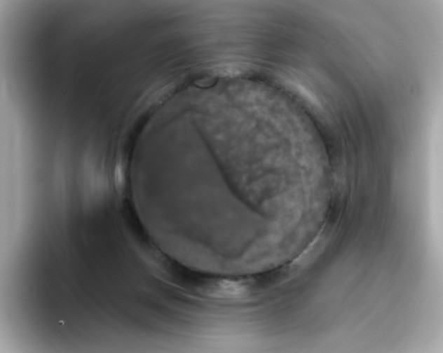 X0000094790166200711301613