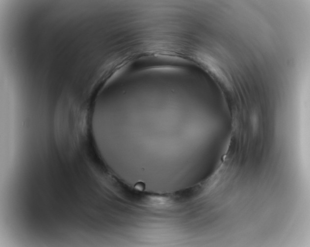 X0000094790167200711301613