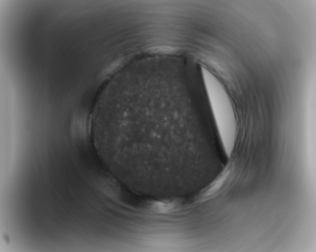 X0000094790168200711301613