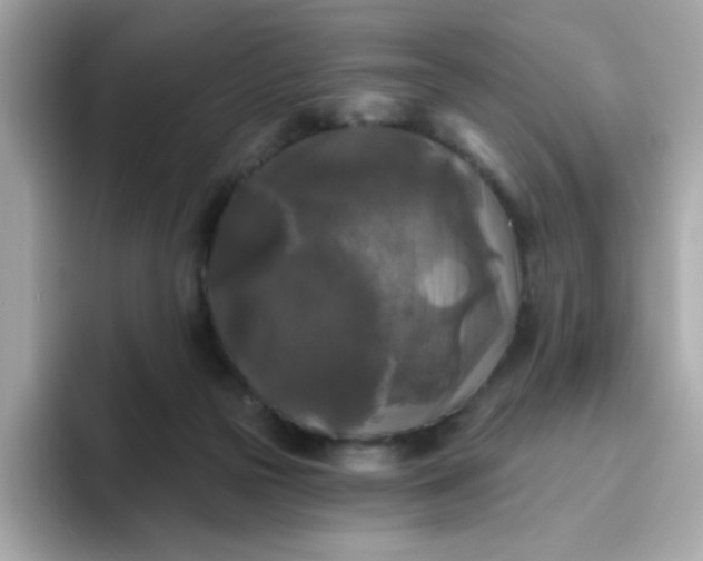 X0000094790169200711301613