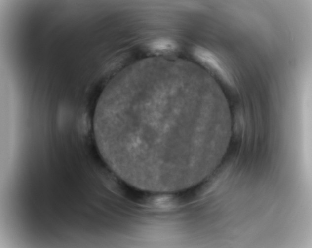 X0000094790173200711301613