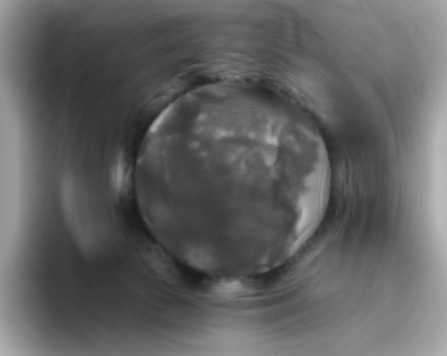 X0000094790177200711301613