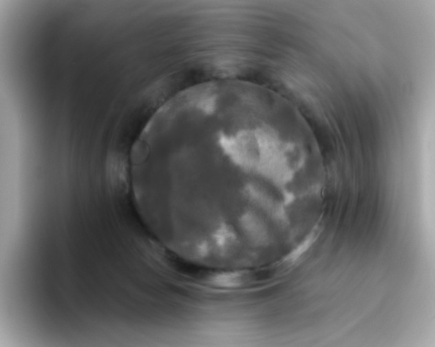 X0000094790178200711301613