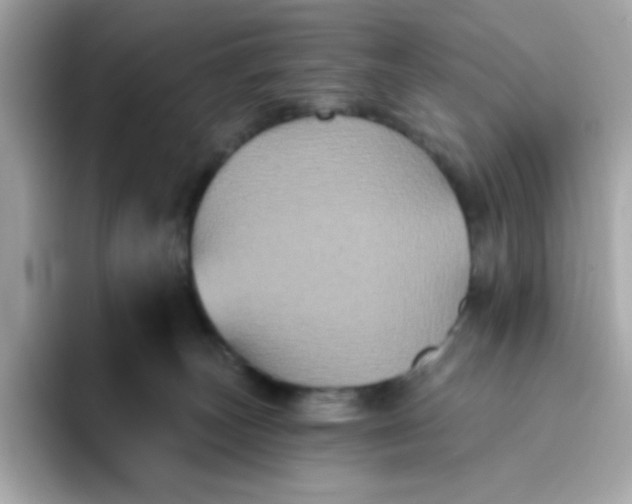 X0000094790179200711301613