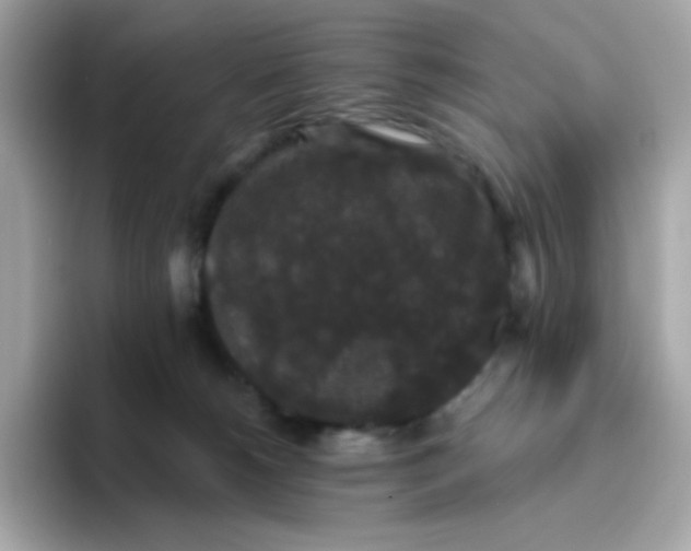 X0000094790180200711301613