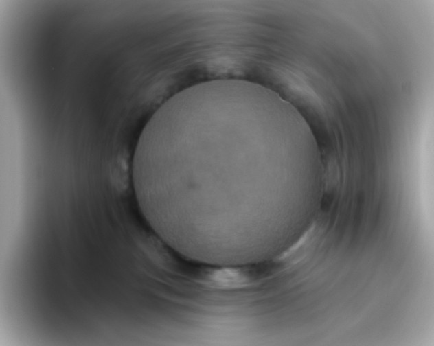 X0000094790183200711301613