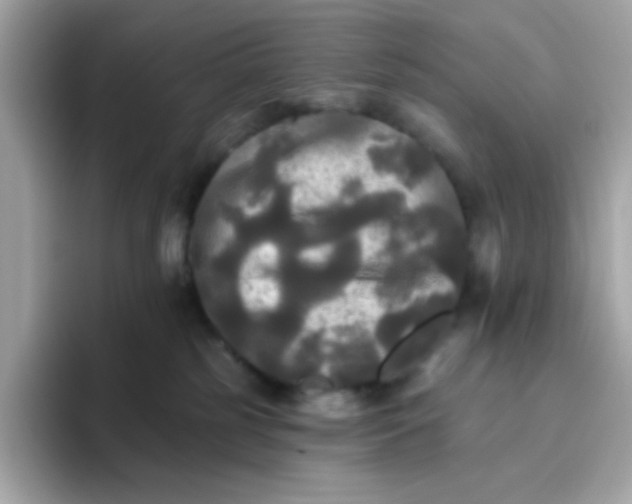 X0000094790185200711301613