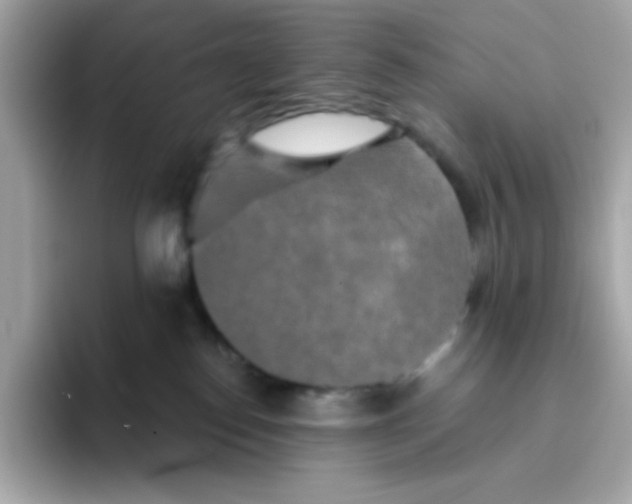 X0000094790186200711301613