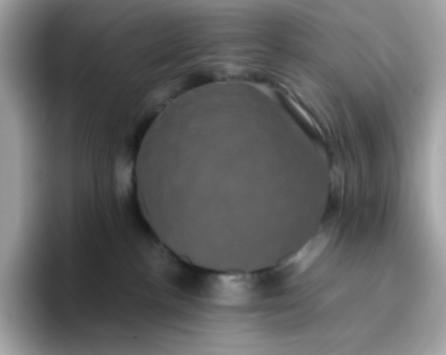 X0000094790188200711301613