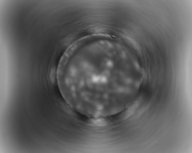 X0000094790189200711301613