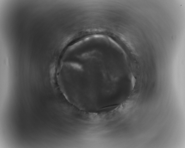 X0000094790192200711301614