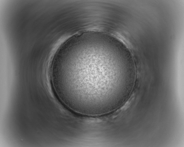 X0000094790193200711301613