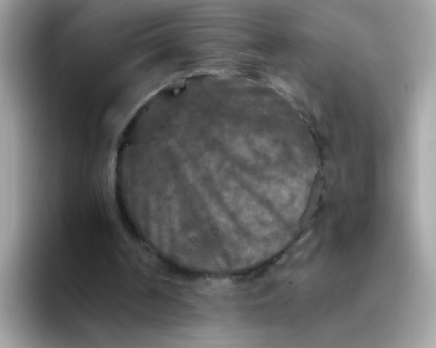 X0000094790194200711301613