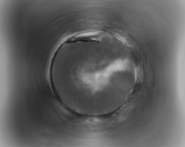 X0000094790195200711301613