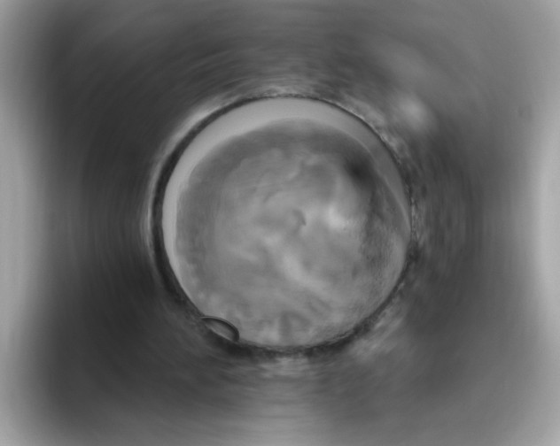 X0000094790196200711301613