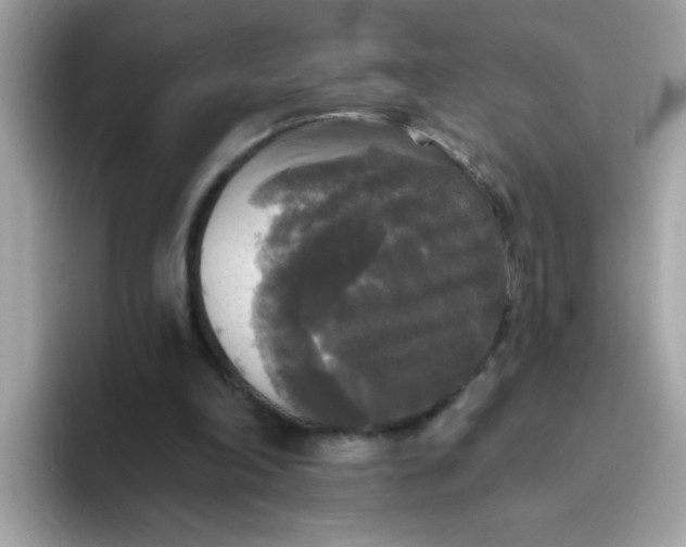 X0000094790198200711301613