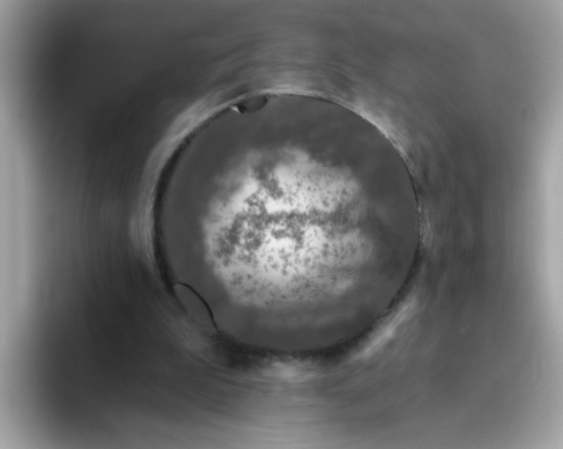 X0000094790199200711301613