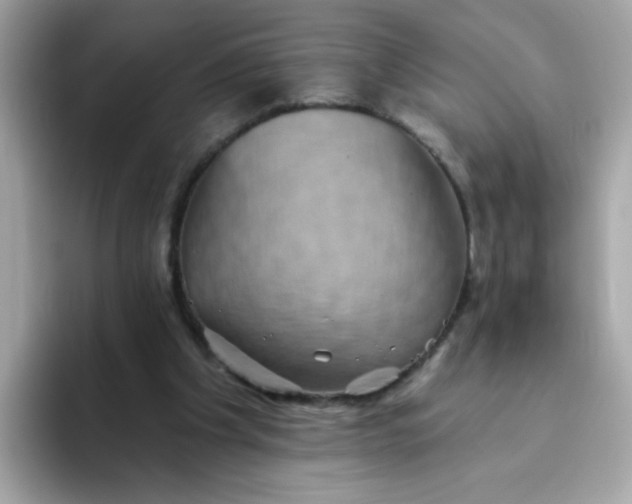 X0000094790201200711301613