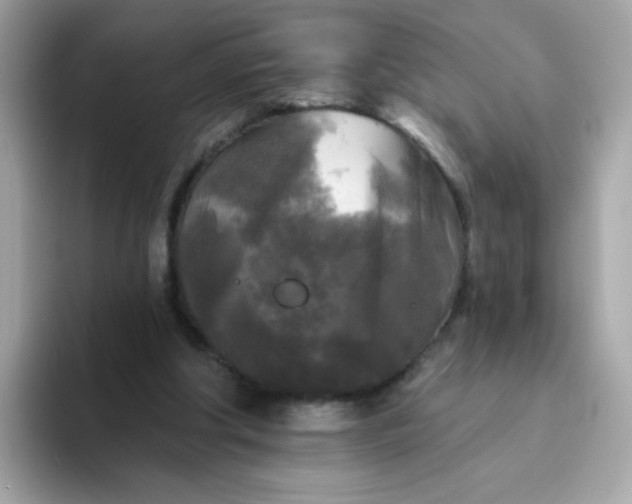 X0000094790202200711301613