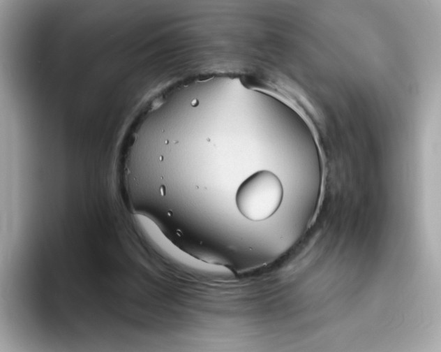 X0000094790203200711301613