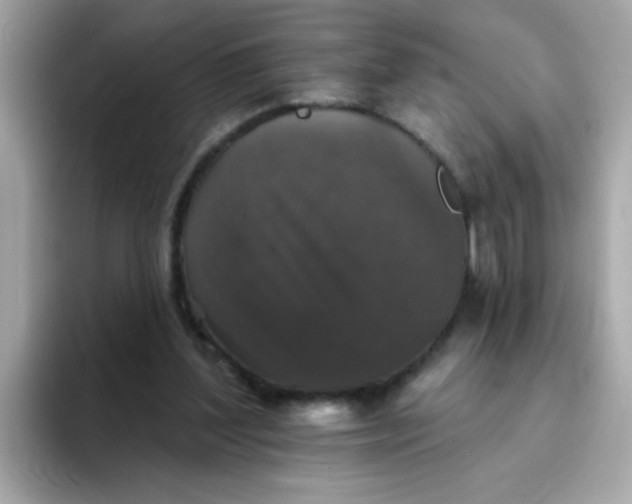 X0000094790204200711301613