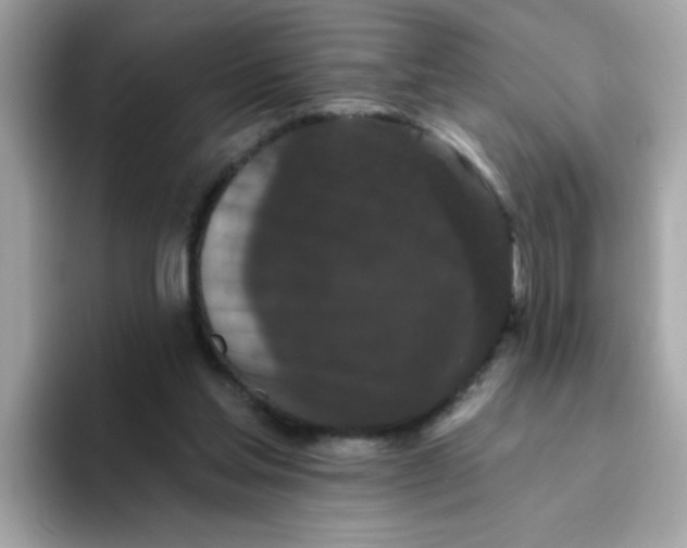 X0000094790205200711301613