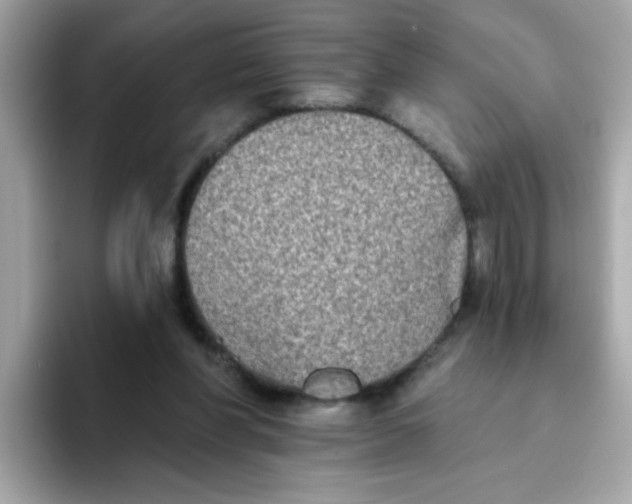 X0000094790206200711301613