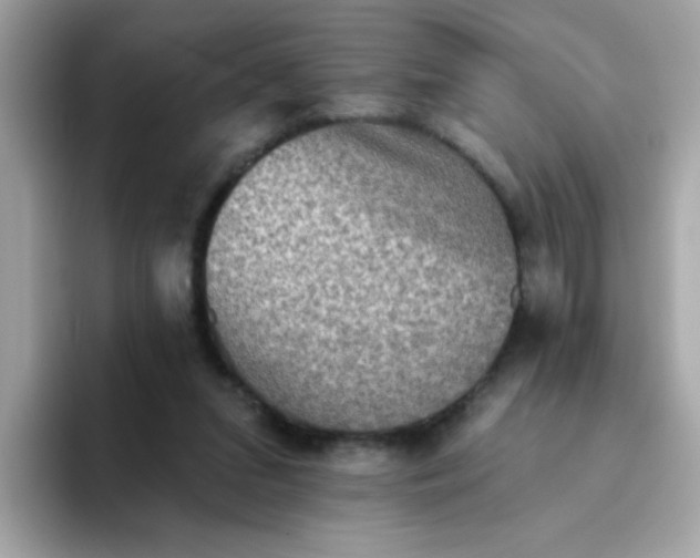 X0000094790207200711301613