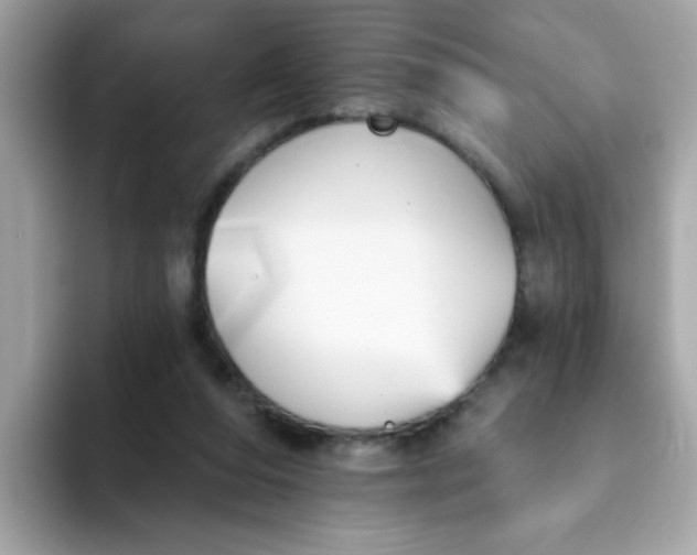 X0000094790208200711301613