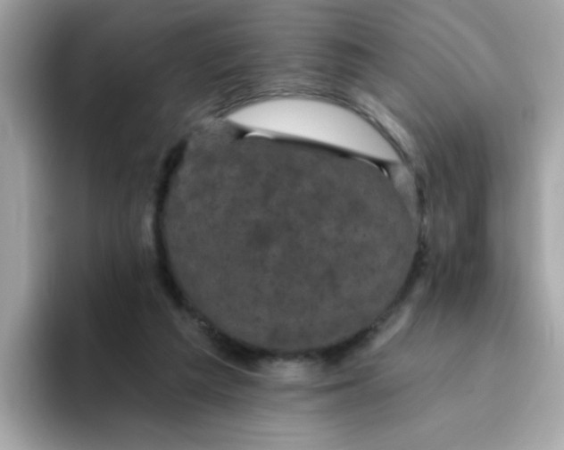 X0000094790209200711301613