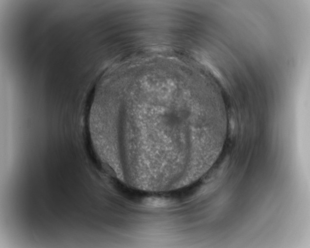 X0000094790211200711301613