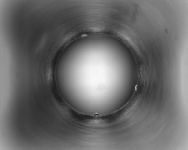 X0000094790212200711301613