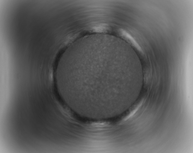 X0000094790213200711301613