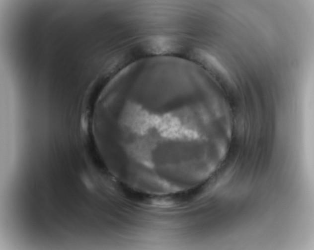 X0000094790214200711301613