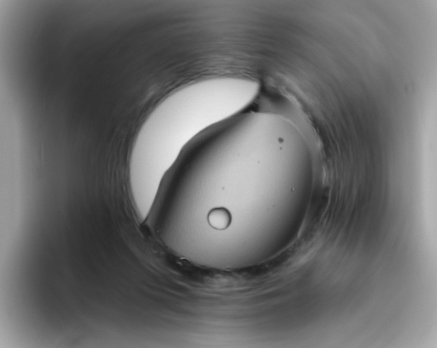 X0000094790215200711301613