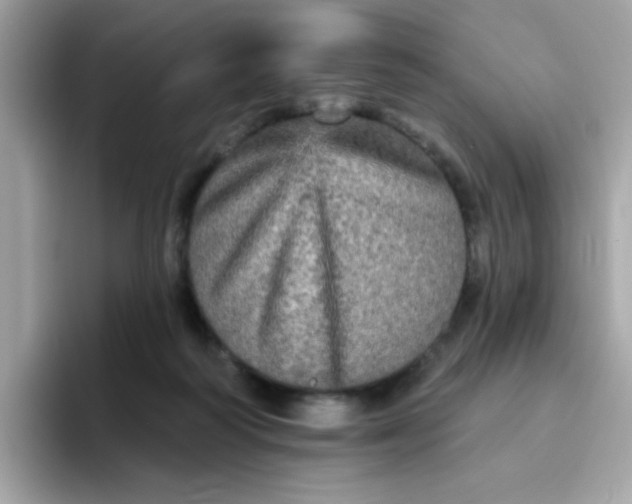 X0000094790218200711301613