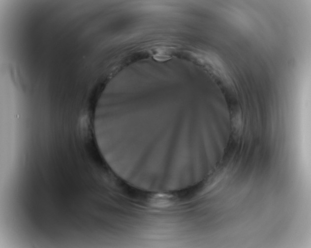 X0000094790222200711301613