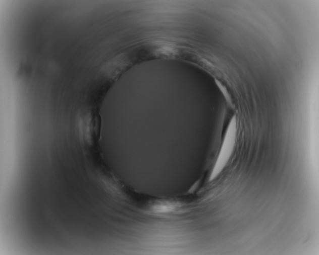 X0000094790223200711301613