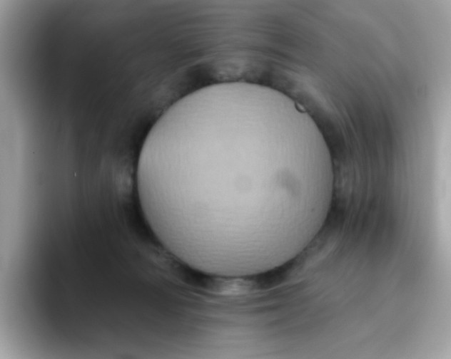 X0000094790226200711301612