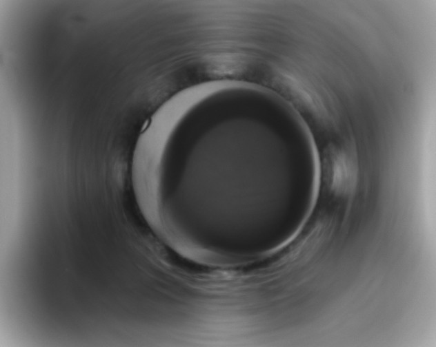 X0000094790227200711301612