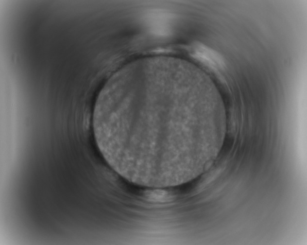 X0000094790230200711301612