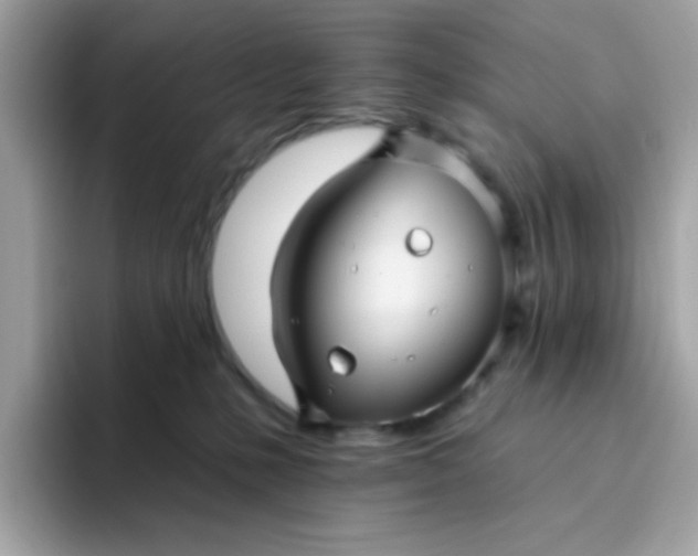 X0000094790231200711301612