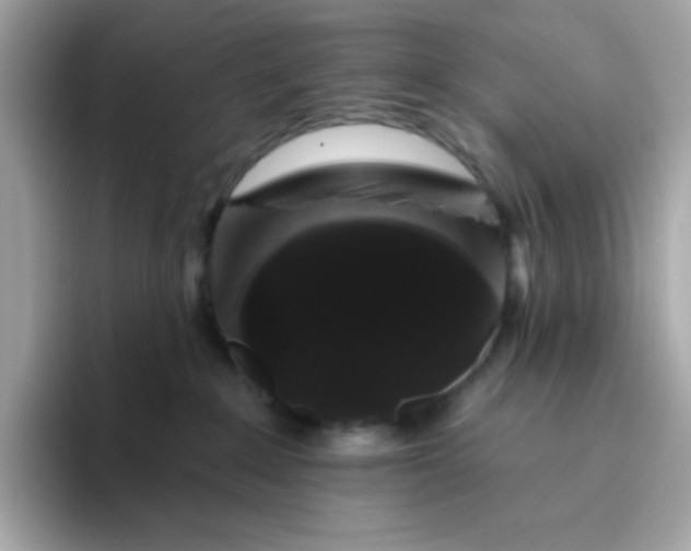 X0000094790235200711301612