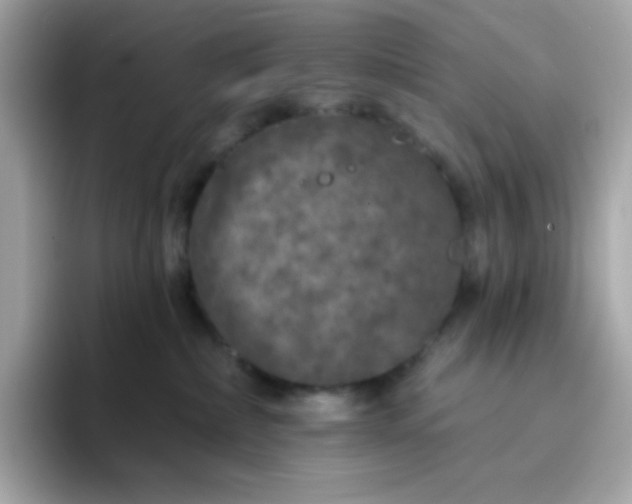 X0000094790236200711301612